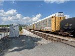 TTGX 979346